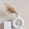 Pampas Grass Decor, Natural Dry Pampas Grass Small, Short Pampass Bulk for Farmhouse, Wall, Kitchen, Bedroom Decor, Office Decor